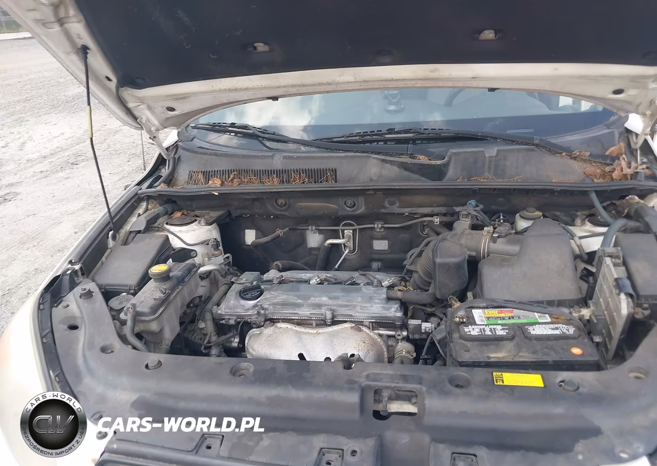 2006 Toyota Rav4 VIN:JTMZD33V465009462 - 10