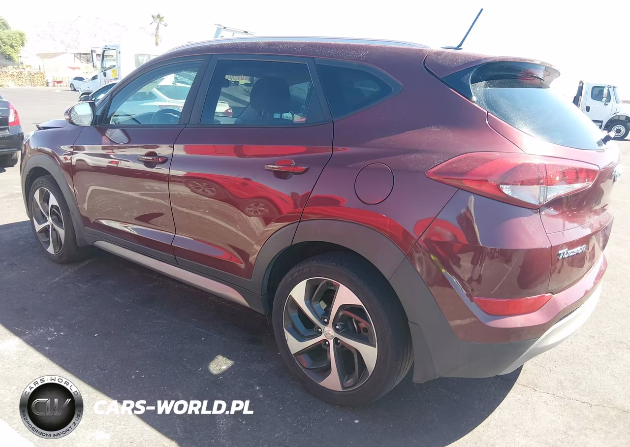 2017 Hyundai Tucson Sport VIN:KM8J33A29HU378704 - 3