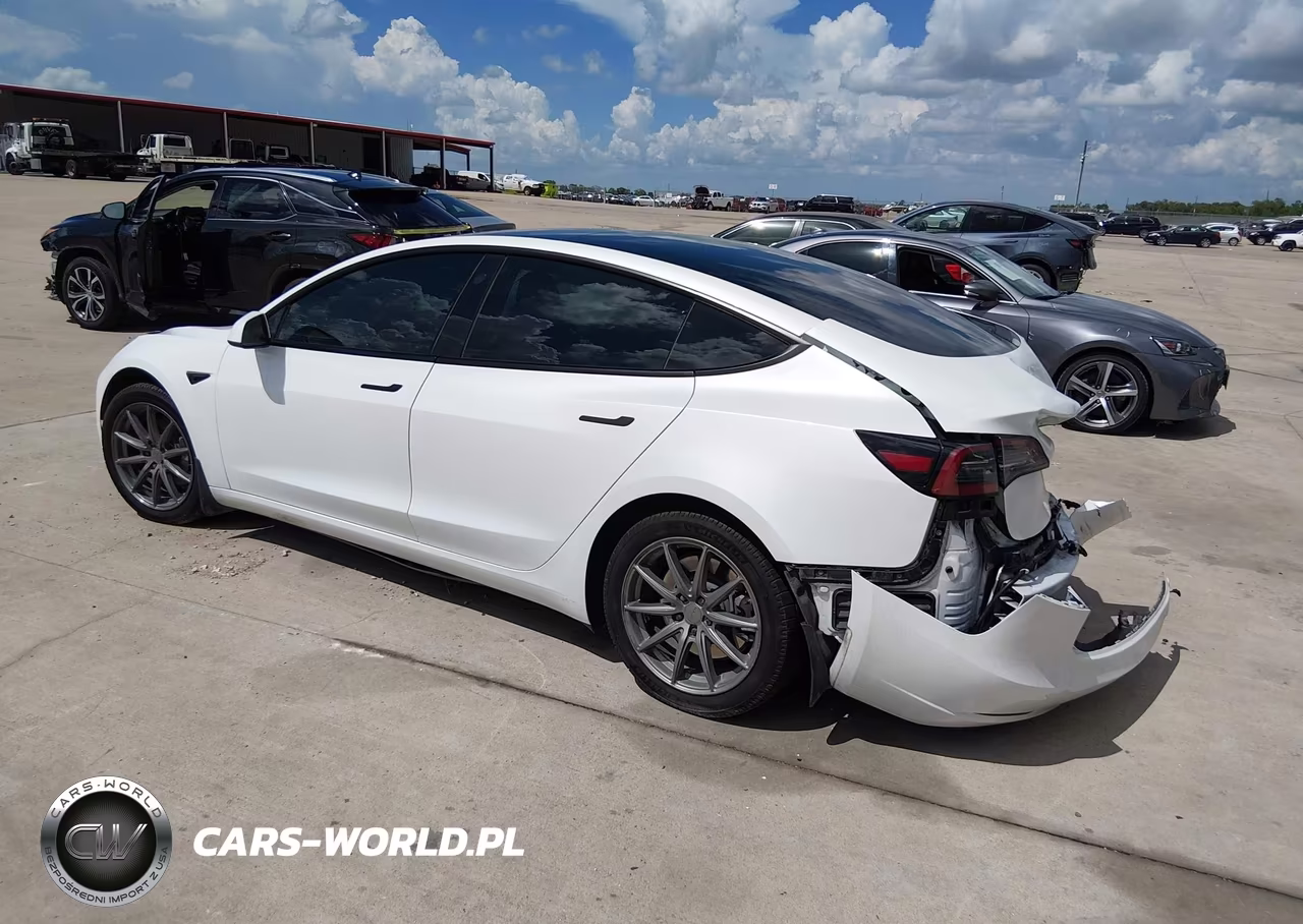 2023 Tesla Model 3 Rear-Wheel Drive VIN:5YJ3E1EA9PF601733 - 3
