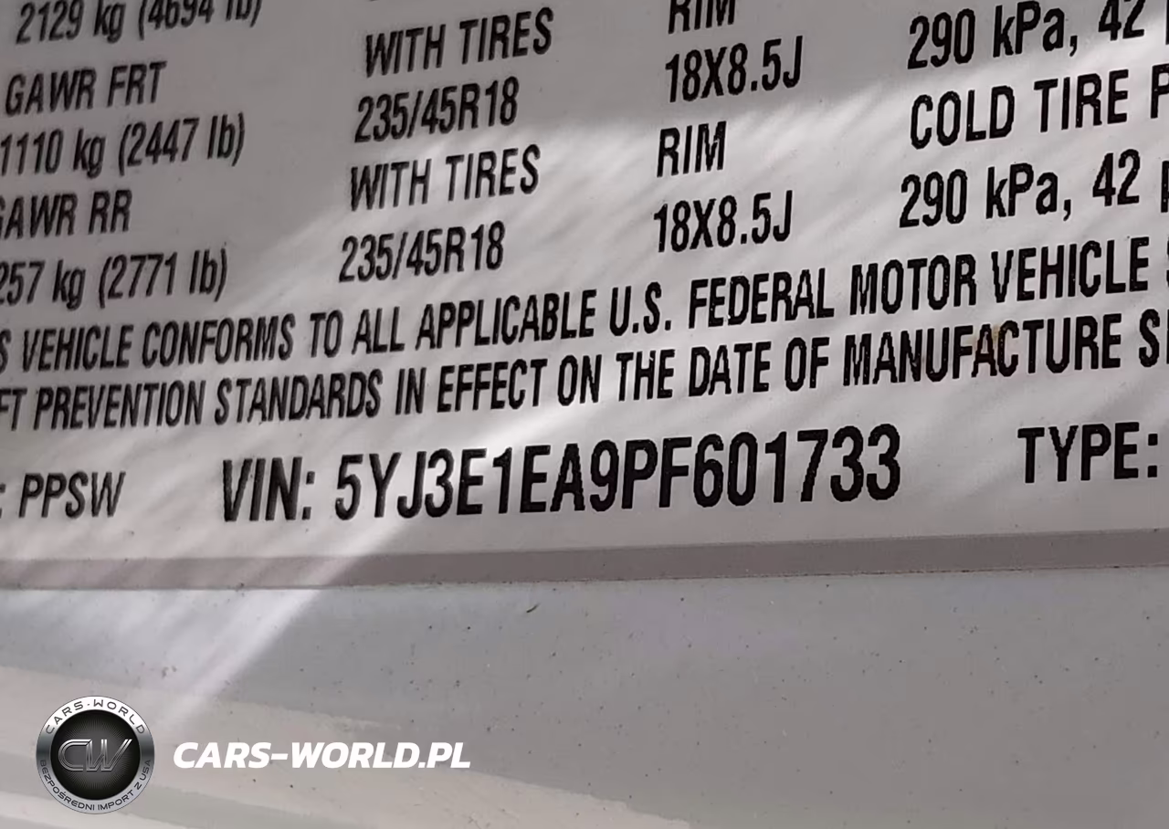 2023 Tesla Model 3 Rear-Wheel Drive VIN:5YJ3E1EA9PF601733 - 9