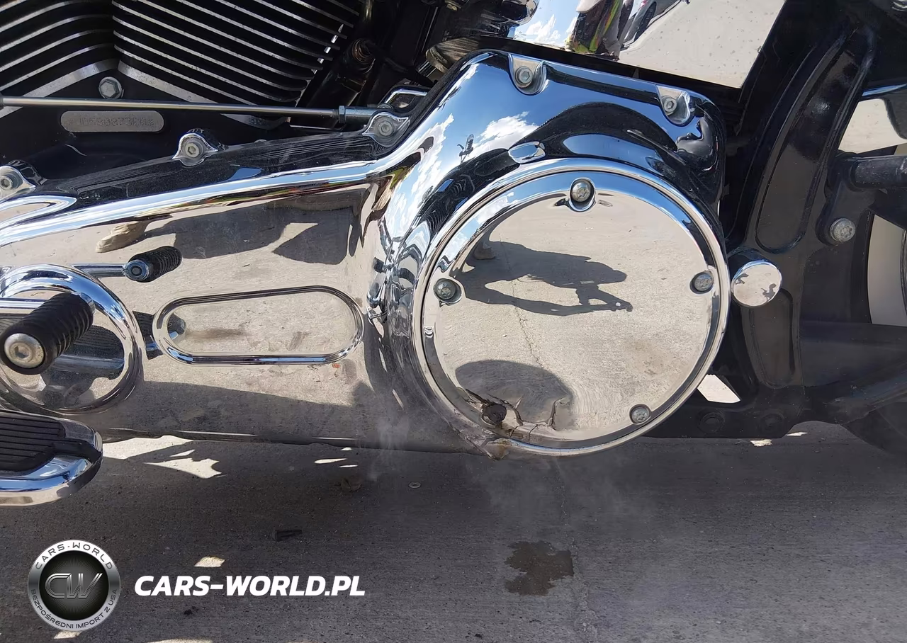 2008 Harley-Davidson Flstn VIN:1HD1JD5188Y087300 - 15