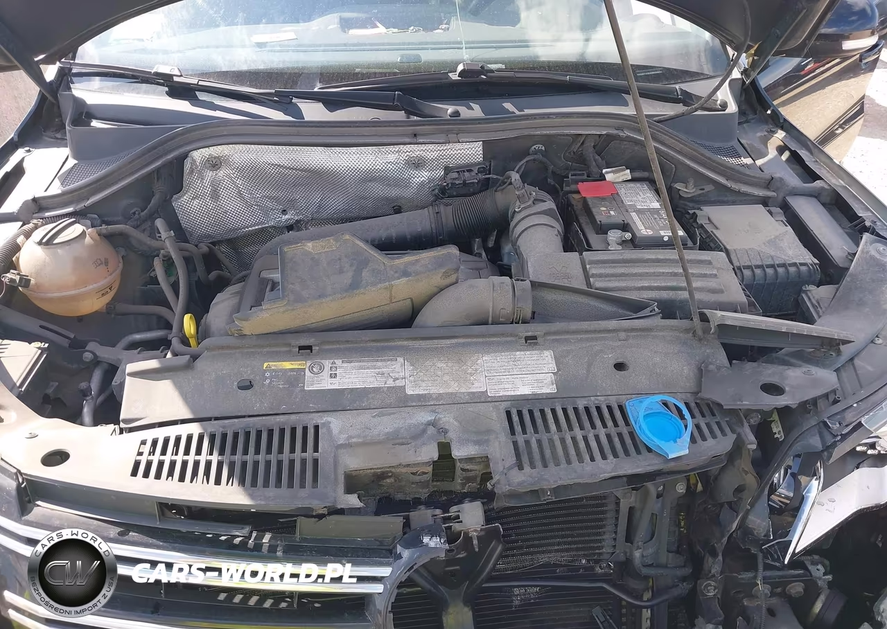 2016 Volkswagen Tiguan Se VIN:WVGBV7AX0GW606870 - 10