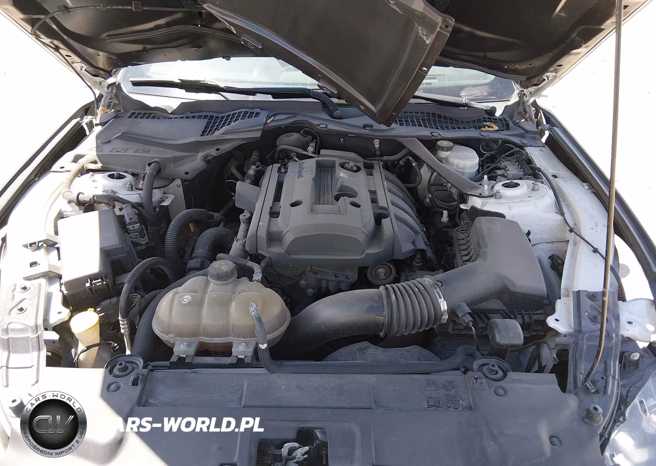 2019 Ford Mustang Ecoboost Premium VIN:1FATP8UH6K5159494 - 10