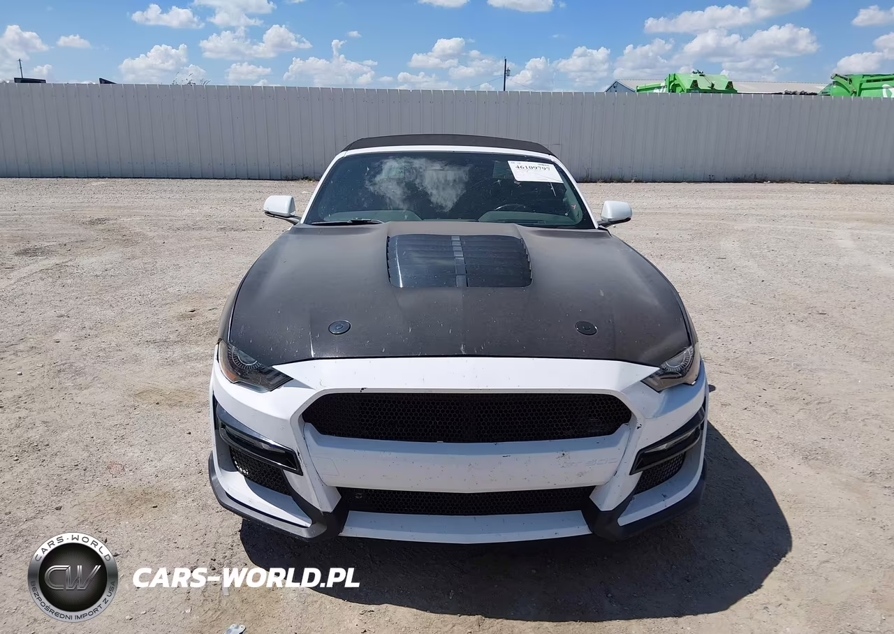 2019 Ford Mustang Ecoboost Premium VIN:1FATP8UH6K5159494 - 12