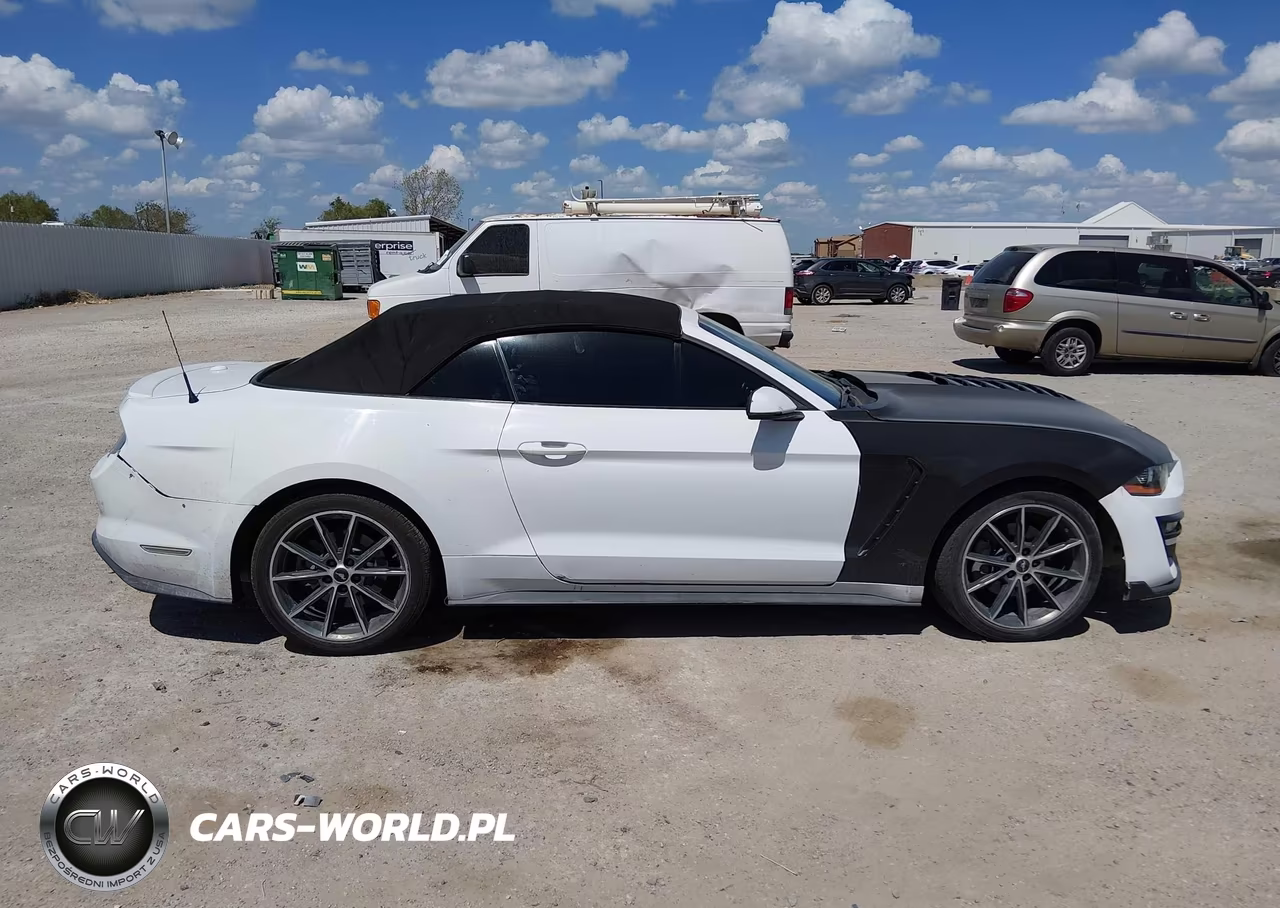 2019 Ford Mustang Ecoboost Premium VIN:1FATP8UH6K5159494 - 13