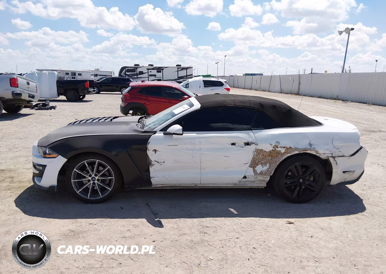 2019 Ford Mustang Ecoboost Premium VIN:1FATP8UH6K5159494 - 14
