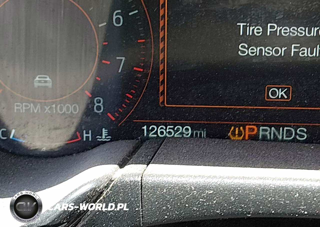2019 Ford Mustang Ecoboost Premium VIN:1FATP8UH6K5159494 - 15