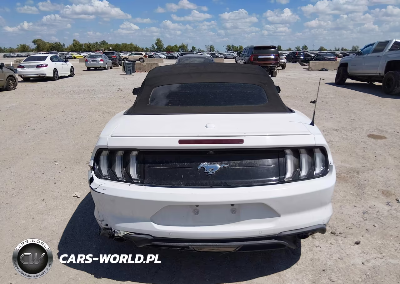 2019 Ford Mustang Ecoboost Premium VIN:1FATP8UH6K5159494 - 16