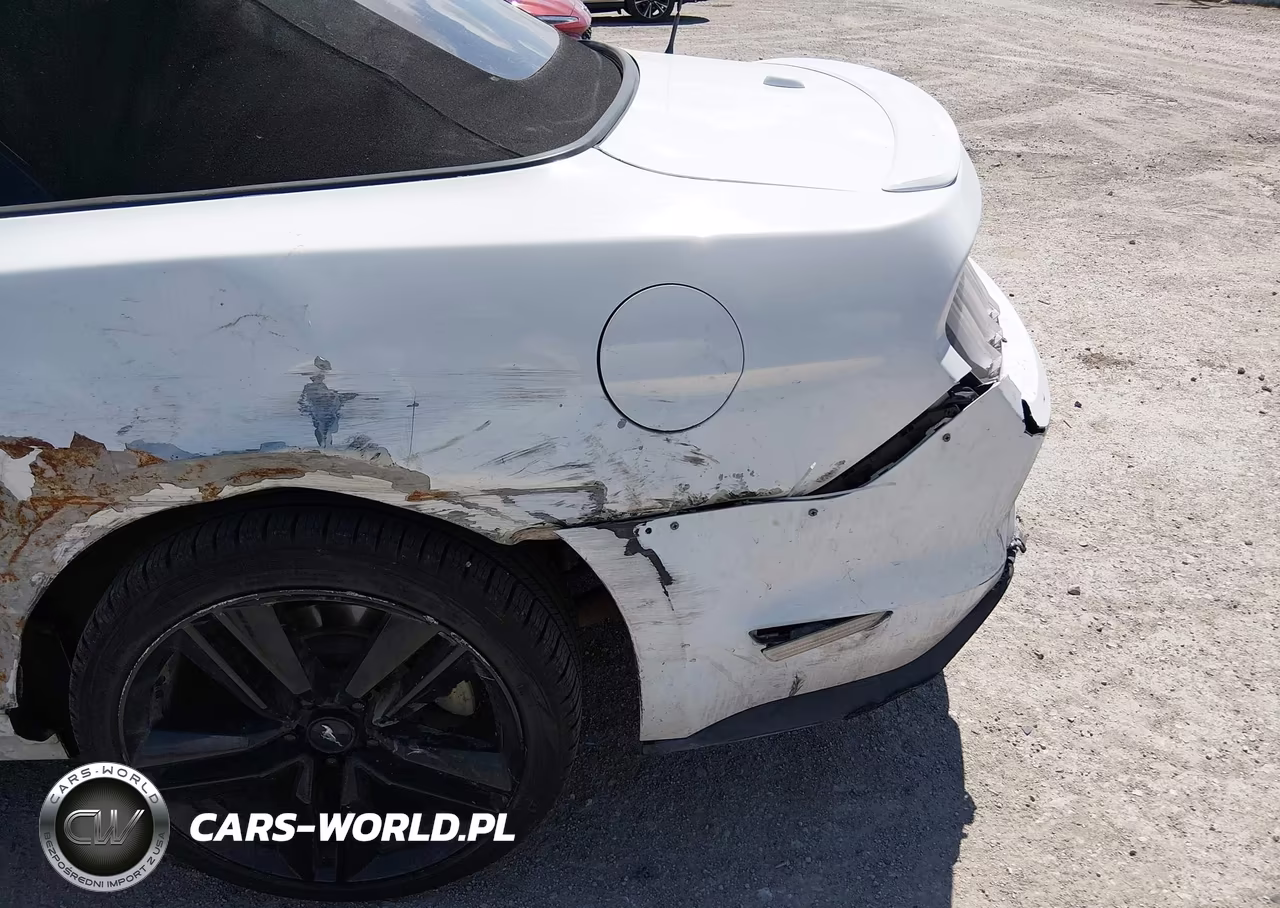 2019 Ford Mustang Ecoboost Premium VIN:1FATP8UH6K5159494 - 17