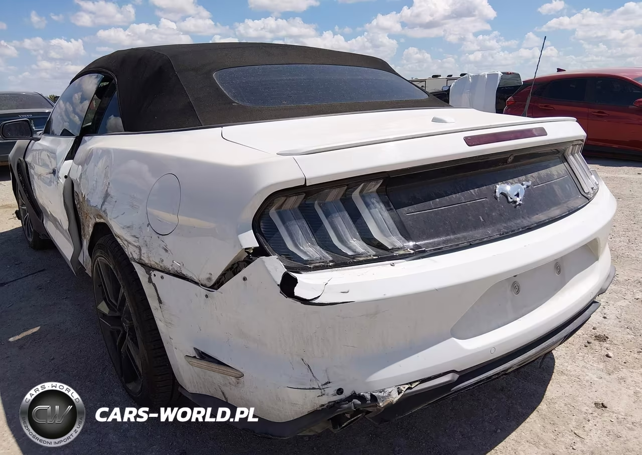 2019 Ford Mustang Ecoboost Premium VIN:1FATP8UH6K5159494 - 18