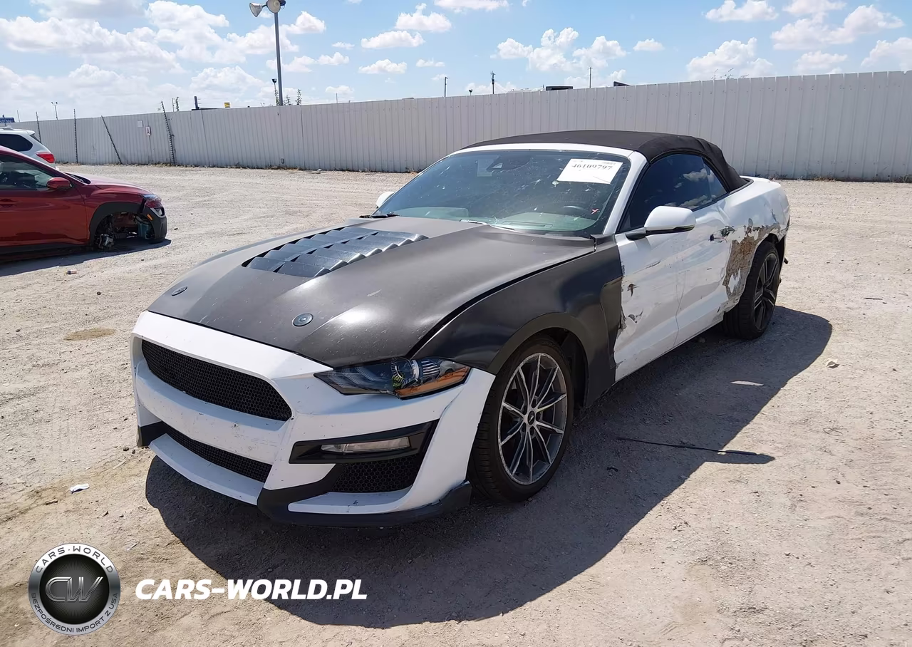 2019 Ford Mustang Ecoboost Premium VIN:1FATP8UH6K5159494 - 2