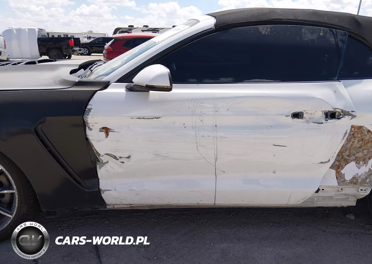 2019 Ford Mustang Ecoboost Premium VIN:1FATP8UH6K5159494 - 20