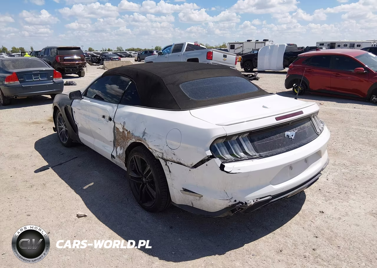 2019 Ford Mustang Ecoboost Premium VIN:1FATP8UH6K5159494 - 3