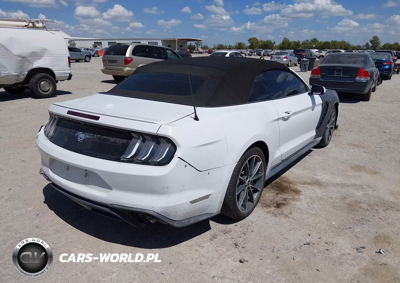 2019 Ford Mustang Ecoboost Premium VIN:1FATP8UH6K5159494 - 4