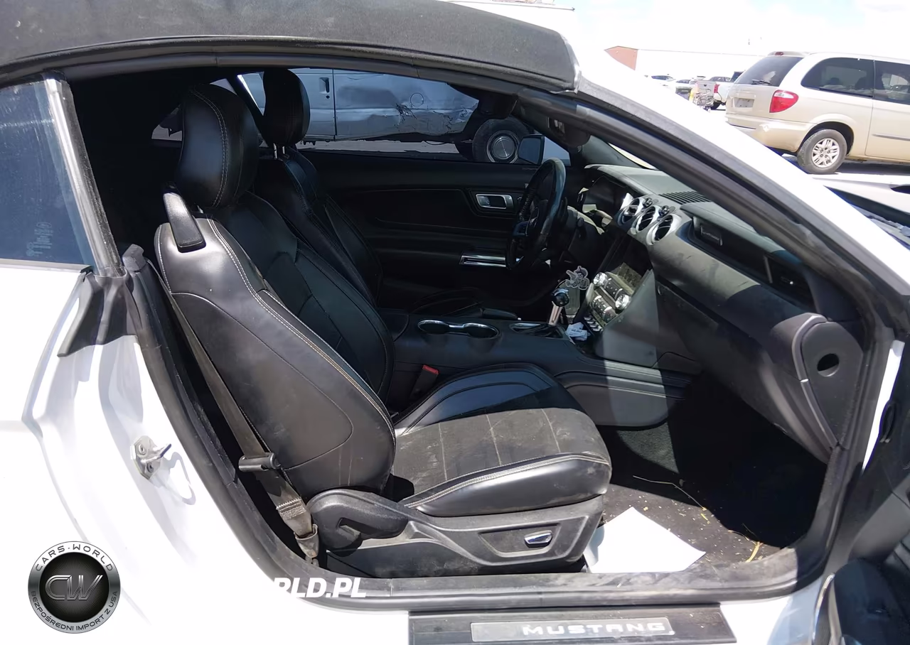 2019 Ford Mustang Ecoboost Premium VIN:1FATP8UH6K5159494 - 5