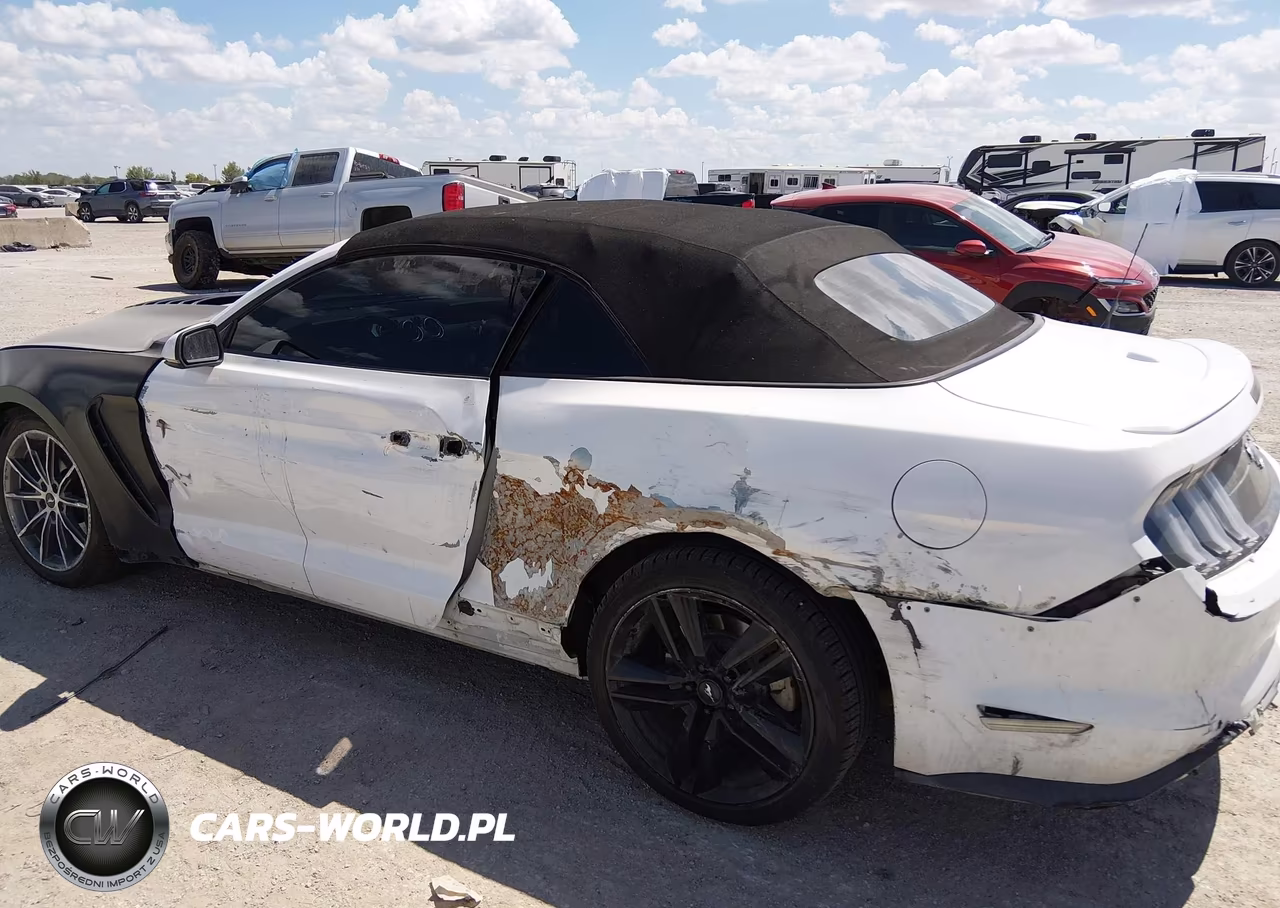 2019 Ford Mustang Ecoboost Premium VIN:1FATP8UH6K5159494 - 6