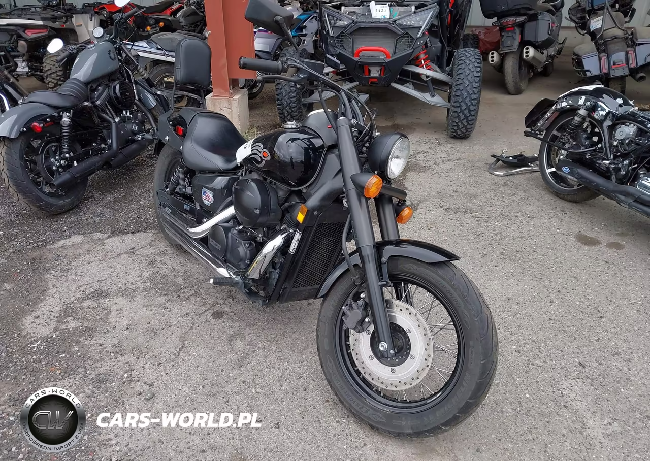 2020 Honda Vt750 C2B