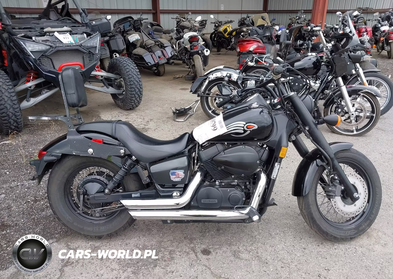 2020 Honda Vt750 C2B VIN:JH2RC5379LK100389 - 12