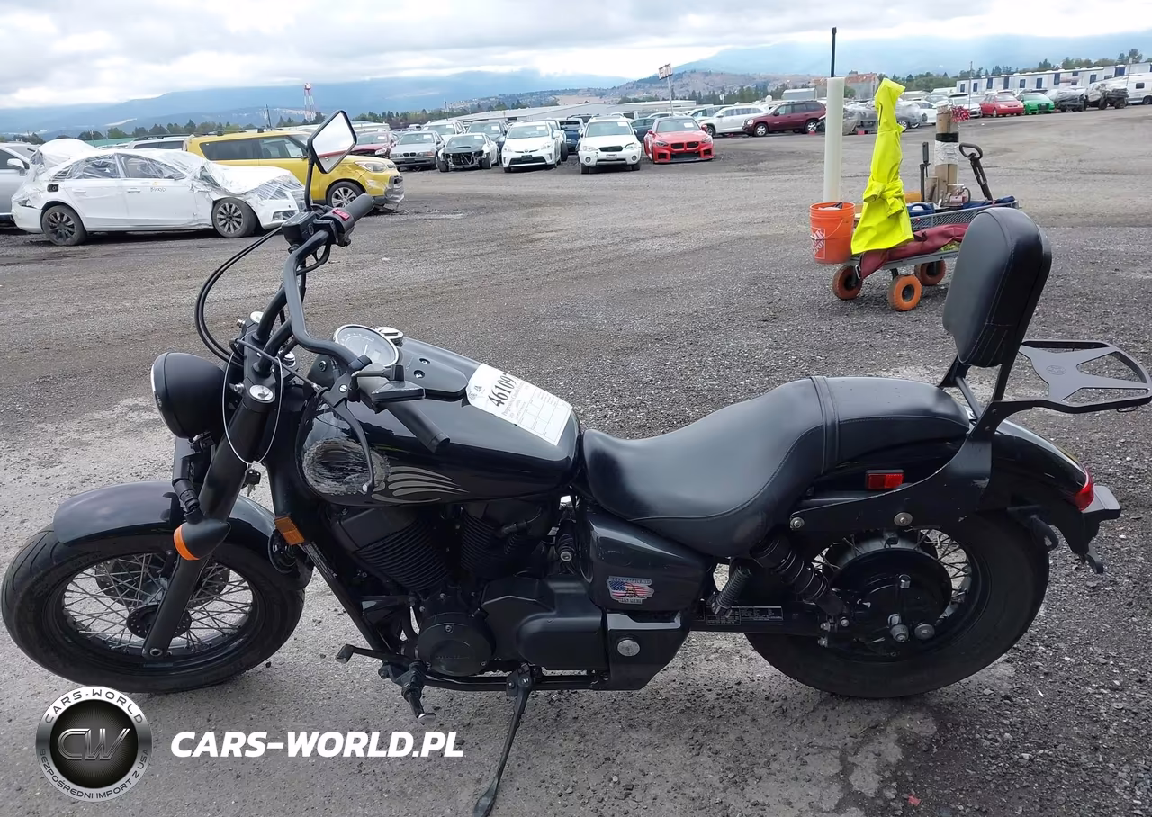 2020 Honda Vt750 C2B VIN:JH2RC5379LK100389 - 13