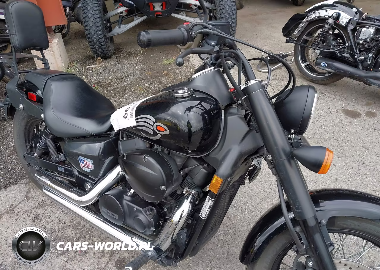 2020 Honda Vt750 C2B VIN:JH2RC5379LK100389 - 17