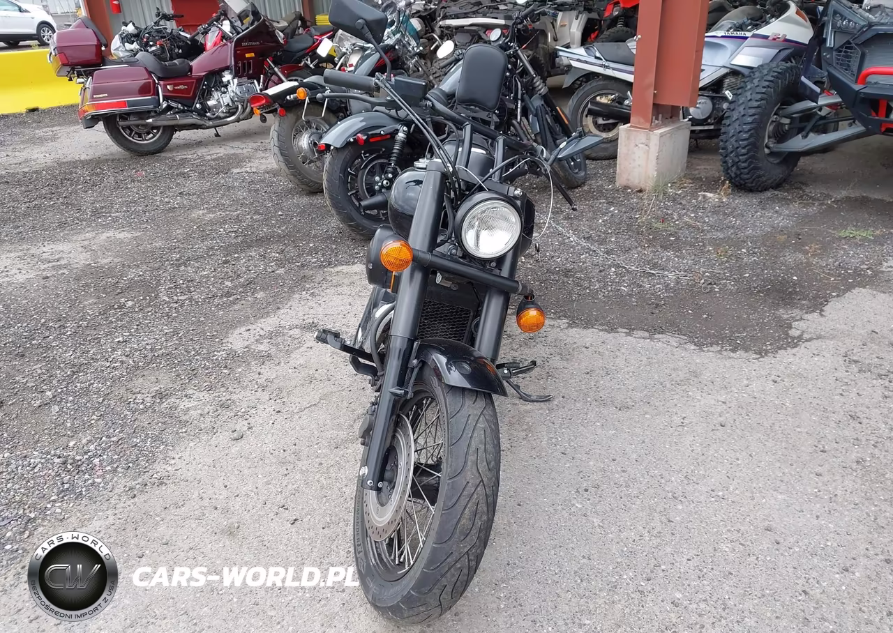2020 Honda Vt750 C2B VIN:JH2RC5379LK100389 - 5