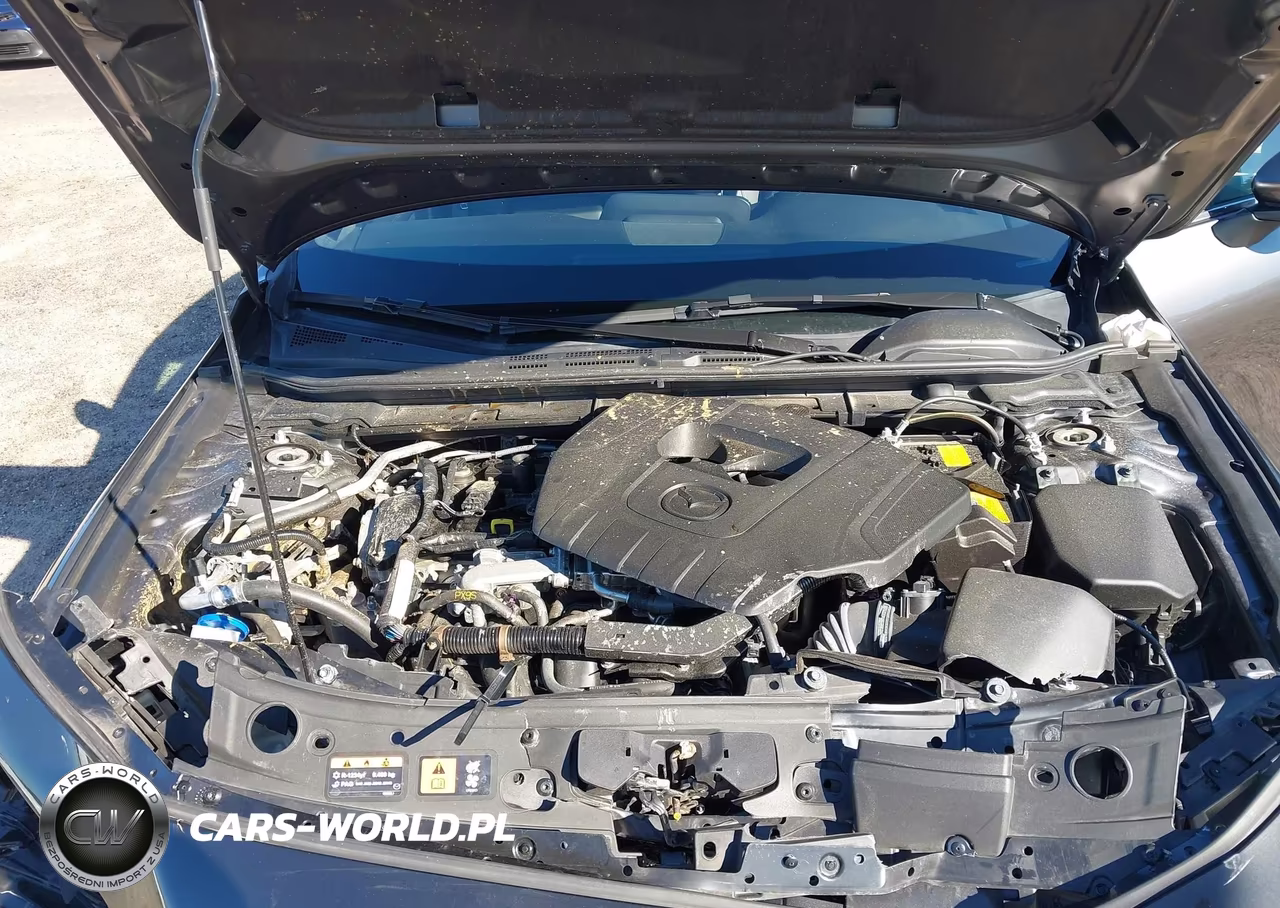 2023 Mazda Mazda3 2.5 S Preferred VIN:JM1BPALM3P1613744 - 10