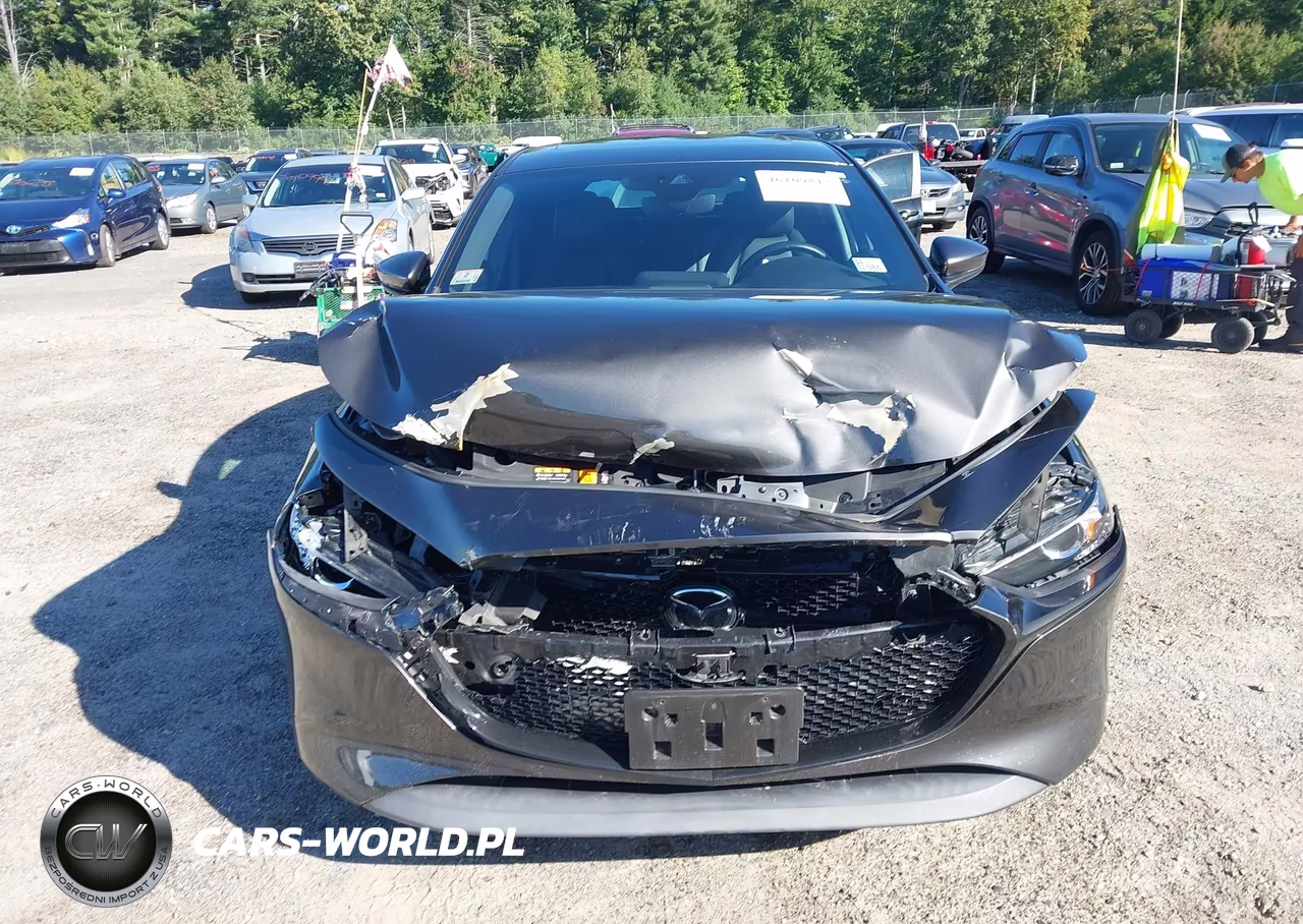 2023 Mazda Mazda3 2.5 S Preferred VIN:JM1BPALM3P1613744 - 12