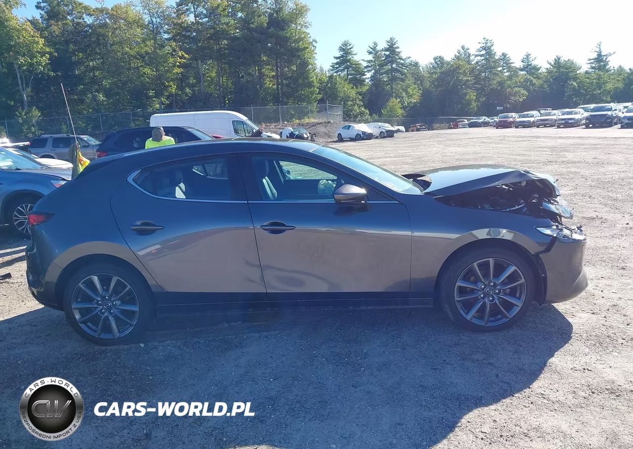 2023 Mazda Mazda3 2.5 S Preferred VIN:JM1BPALM3P1613744 - 13