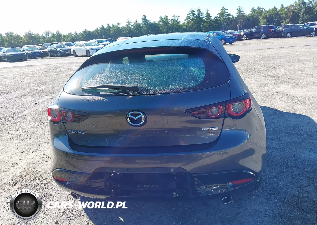 2023 Mazda Mazda3 2.5 S Preferred VIN:JM1BPALM3P1613744 - 16