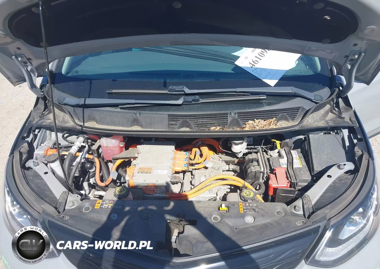 2021 Chevrolet Bolt Ev Fwd Lt VIN:1G1FY6S01M4105785 - 10