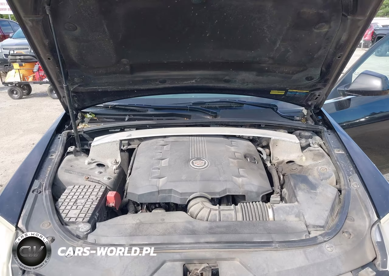 2010 Cadillac Cts VIN:1G6DC5EGXA0116032 - 10