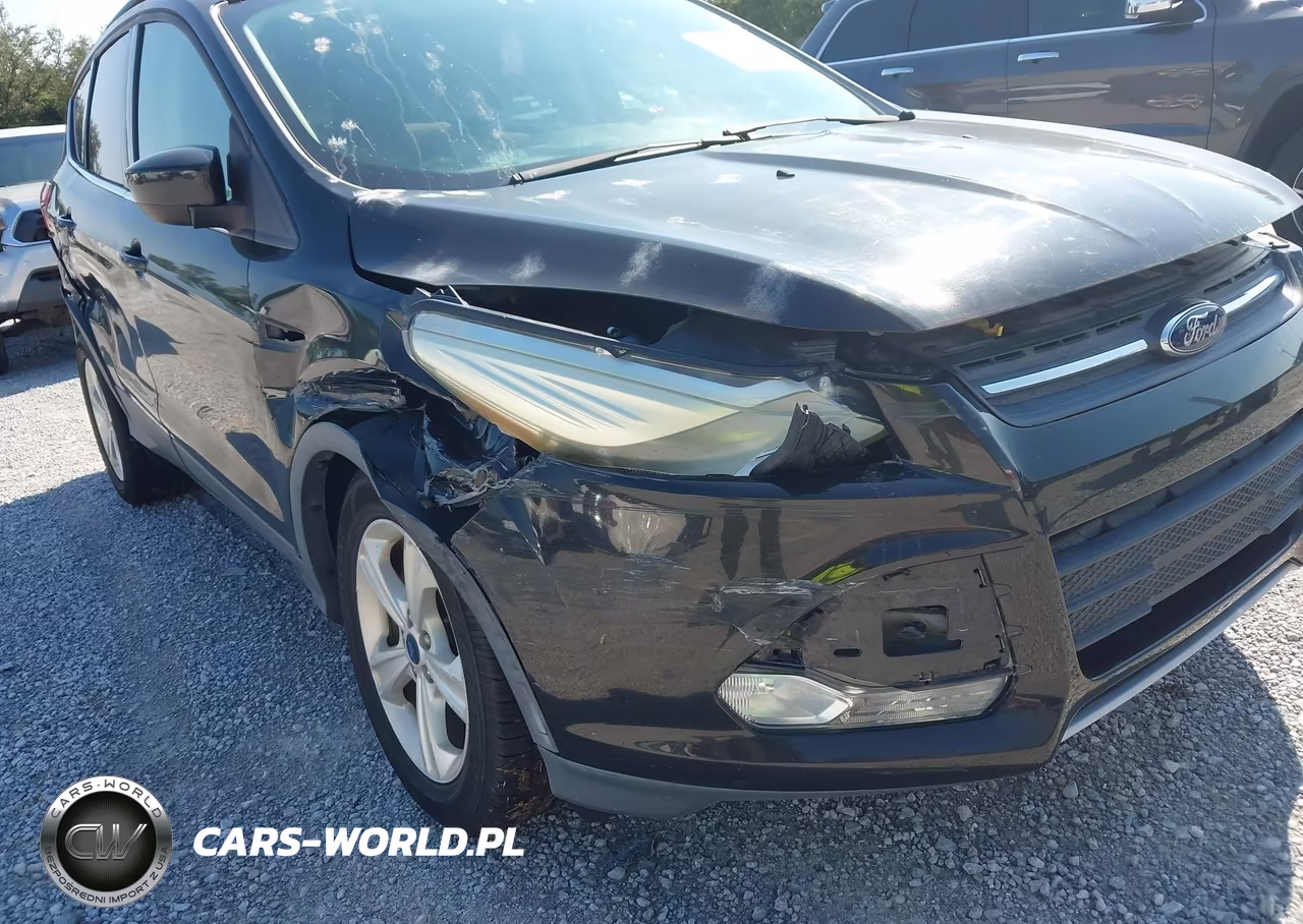2015 Ford Escape Se VIN:1FMCU0GX3FUA57813 - 12