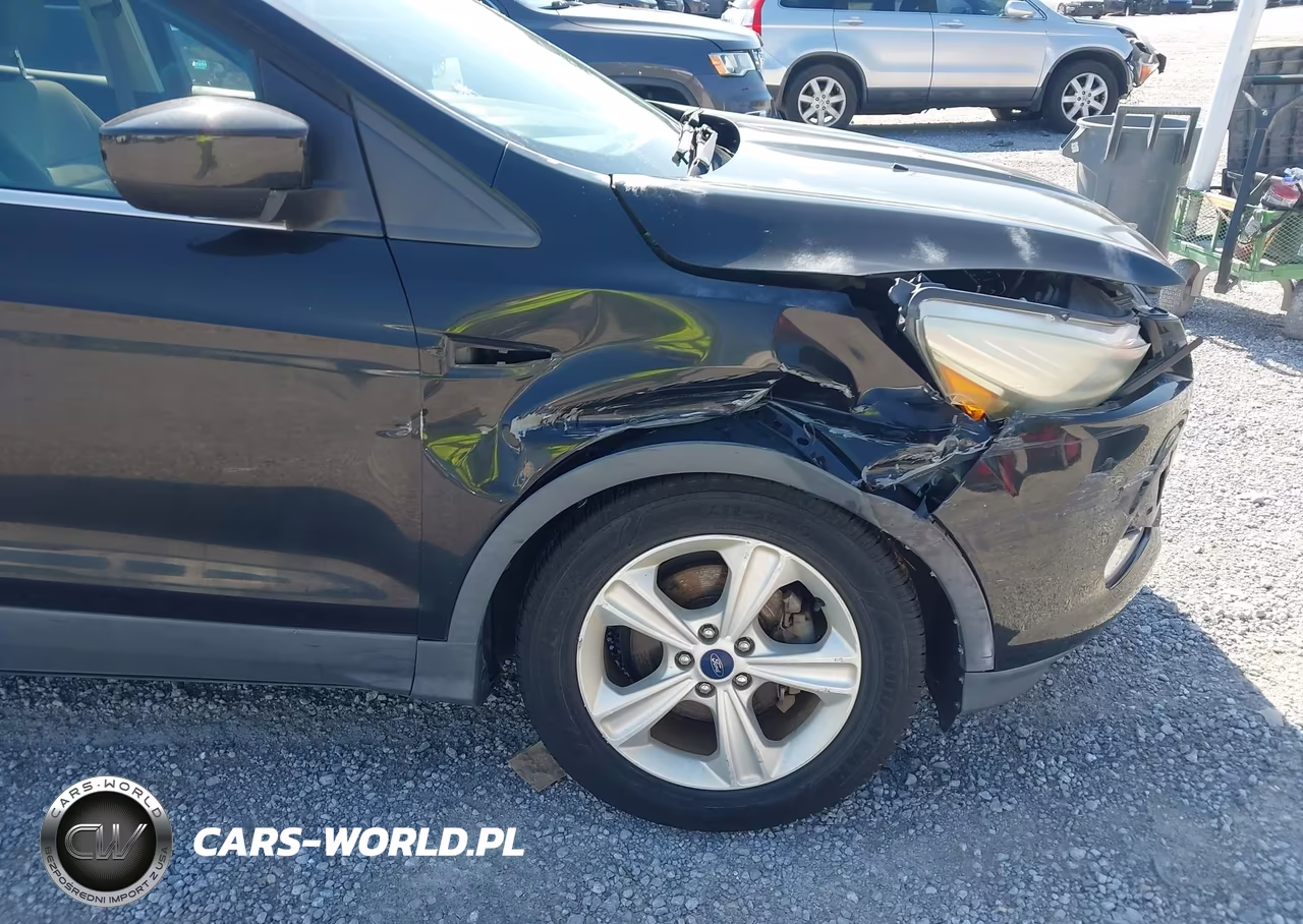 2015 Ford Escape Se VIN:1FMCU0GX3FUA57813 - 13