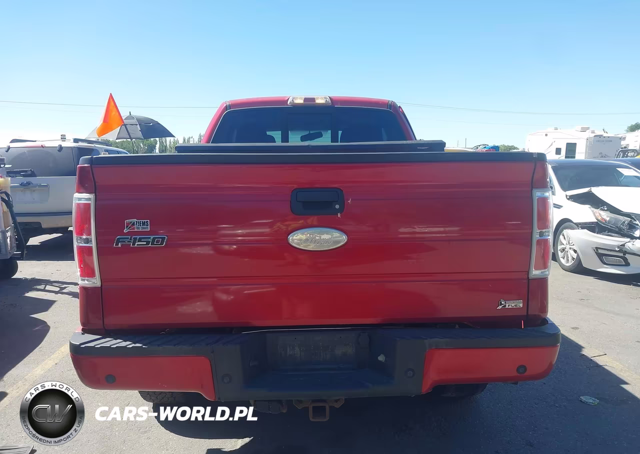 2010 Ford F-150 Fx4-Lariat-Xl-Xlt VIN:1FTFX1EV4AKE71011 - 16