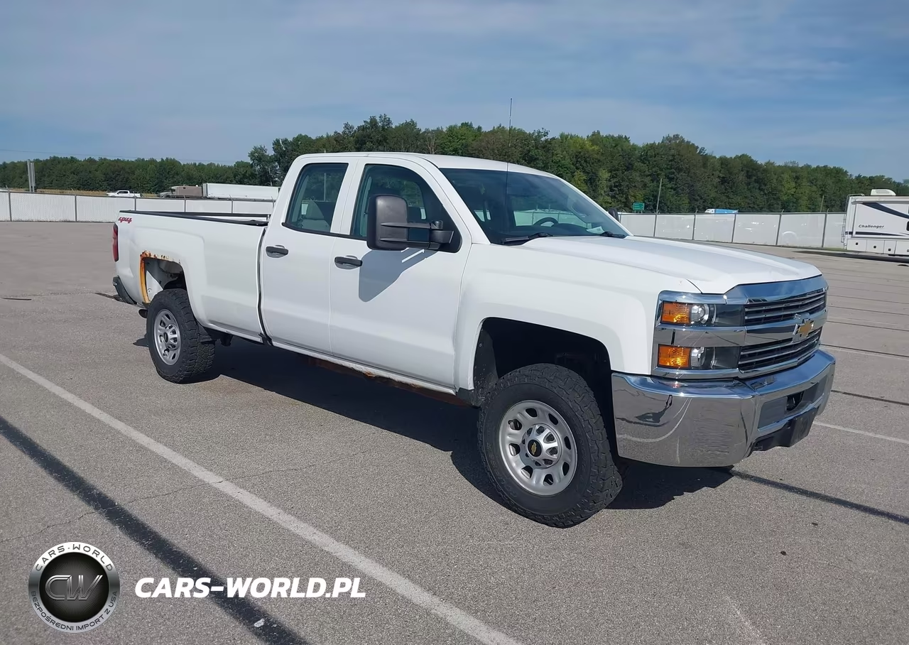 2017 Chevrolet Silverado 3500Hd Wt VIN:1GC5KYCG5HZ311258 - 1