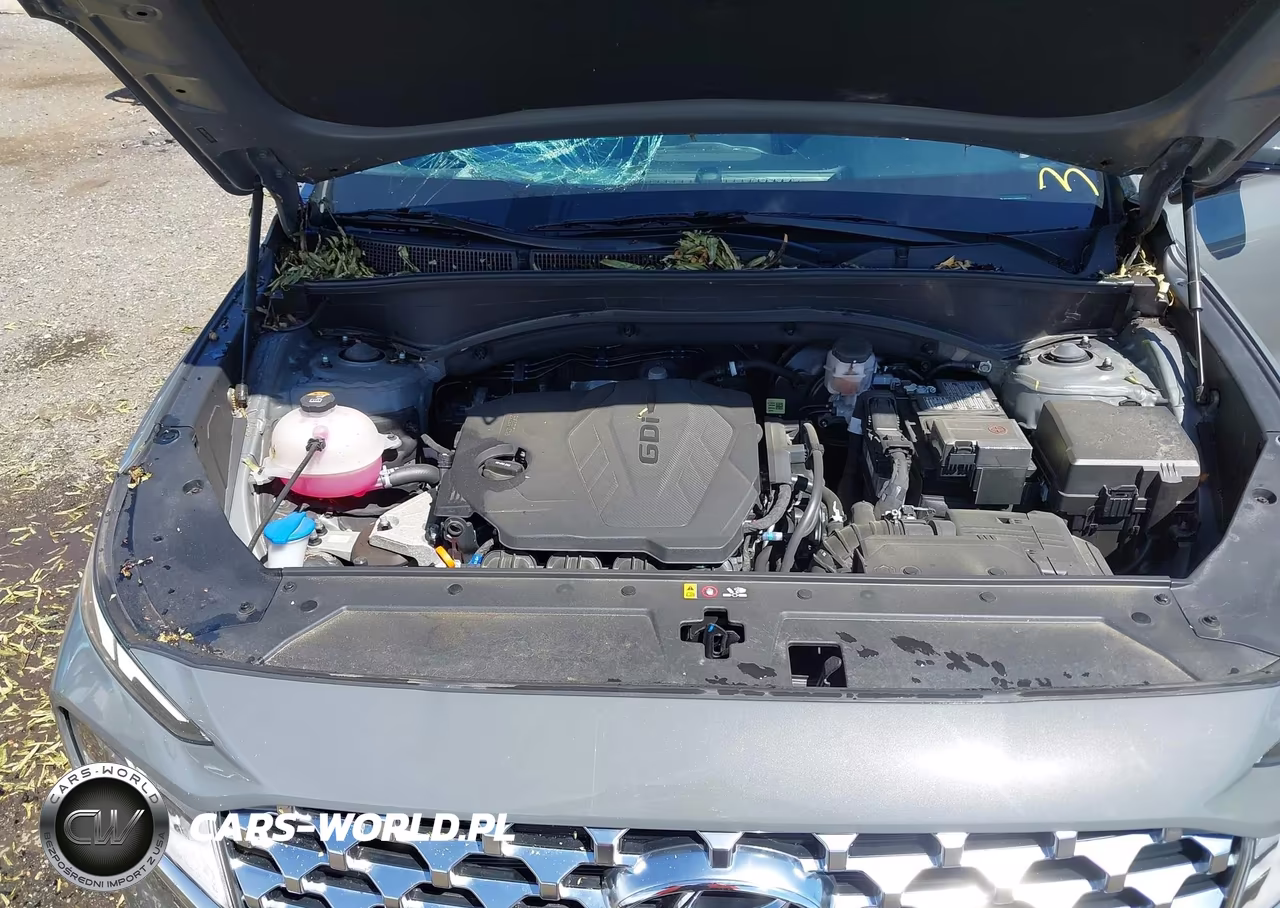 2023 Hyundai Santa Fe Sel VIN:5NMS34AJXPH585338 - 10