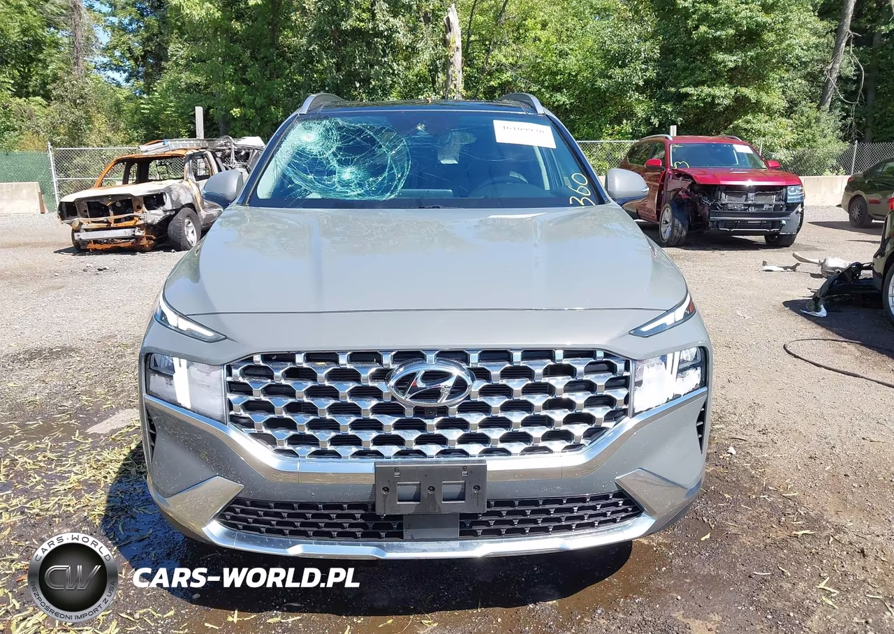 2023 Hyundai Santa Fe Sel VIN:5NMS34AJXPH585338 - 12