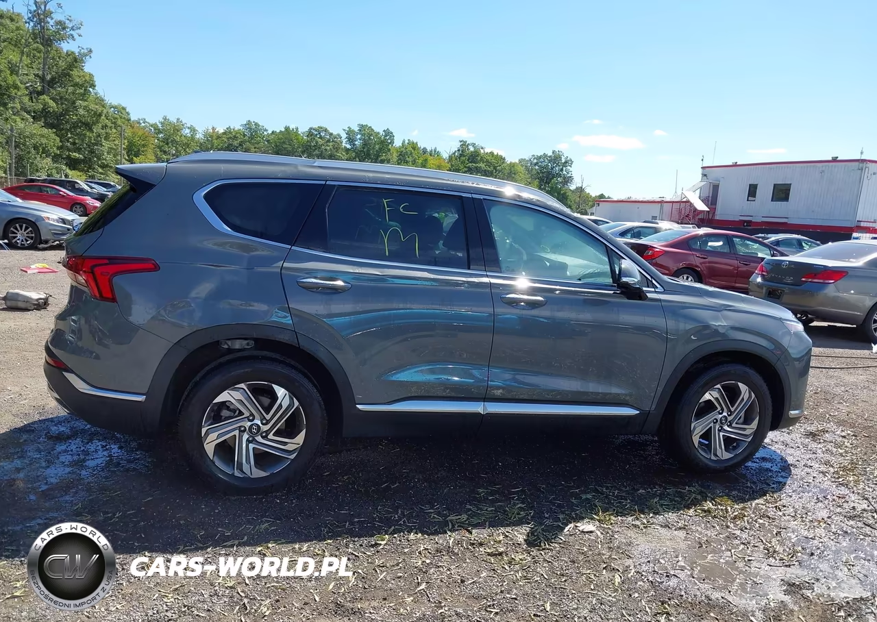 2023 Hyundai Santa Fe Sel VIN:5NMS34AJXPH585338 - 13