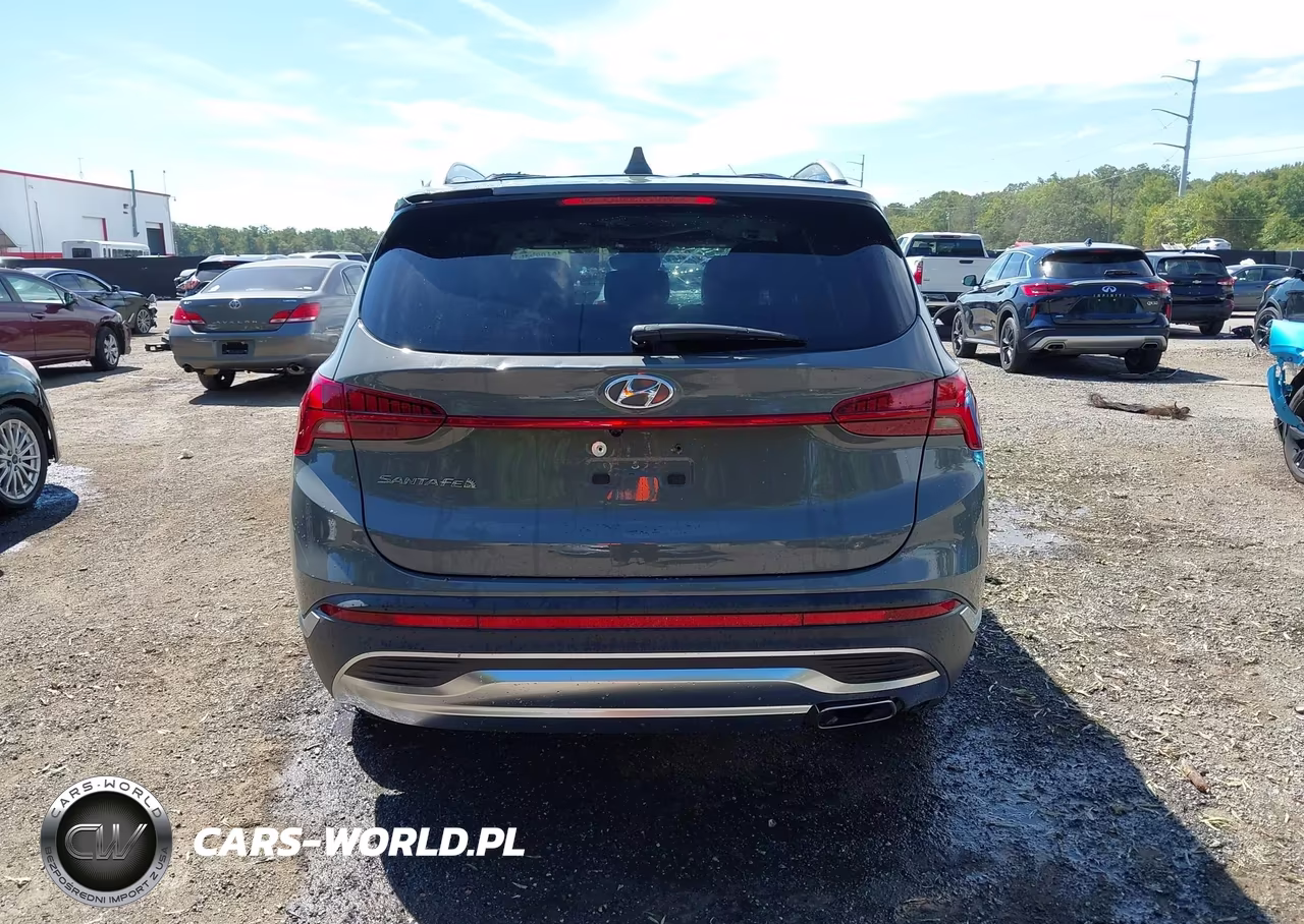 2023 Hyundai Santa Fe Sel VIN:5NMS34AJXPH585338 - 16