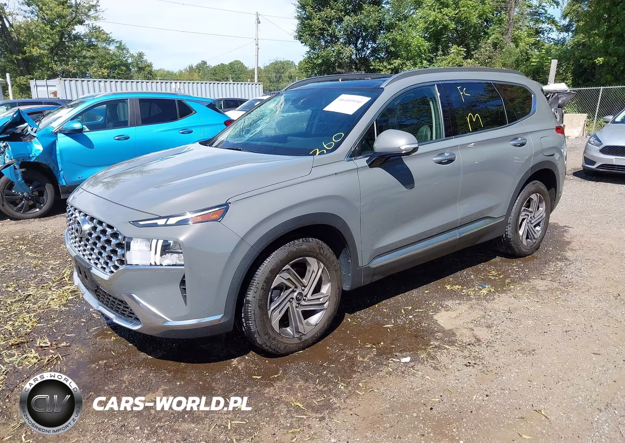 2023 Hyundai Santa Fe Sel VIN:5NMS34AJXPH585338 - 2
