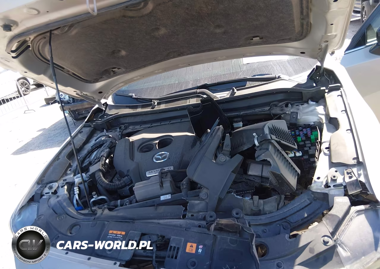 2024 Mazda Cx-5 2.5 Turbo Premium VIN:JM3KFBDY5R0390536 - 10