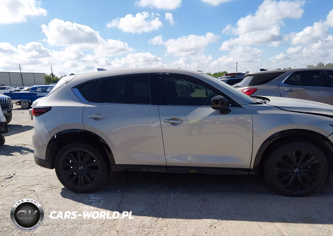 2024 Mazda Cx-5 2.5 Turbo Premium VIN:JM3KFBDY5R0390536 - 13