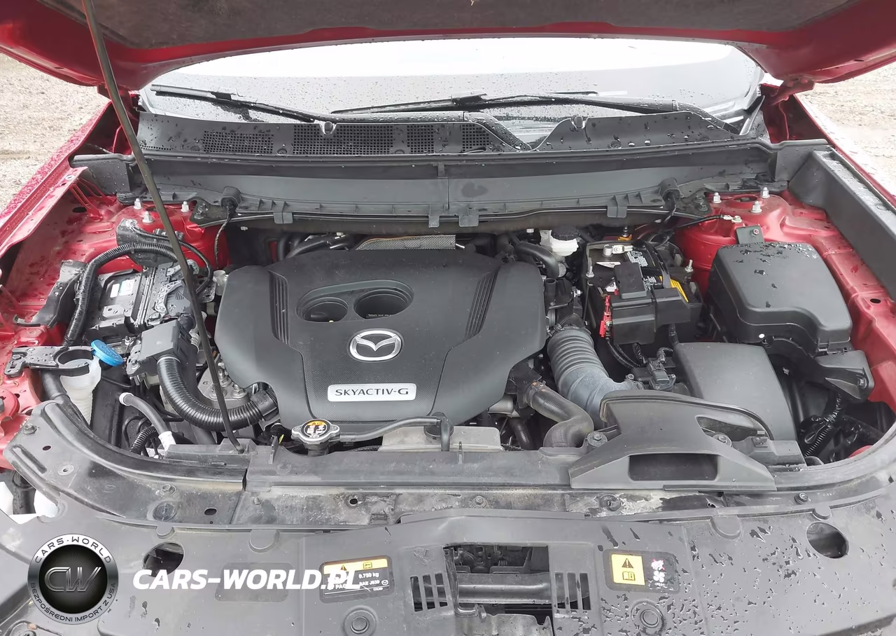 2020 Mazda Cx-9 Touring VIN:JM3TCBCY8L0403009 - 10
