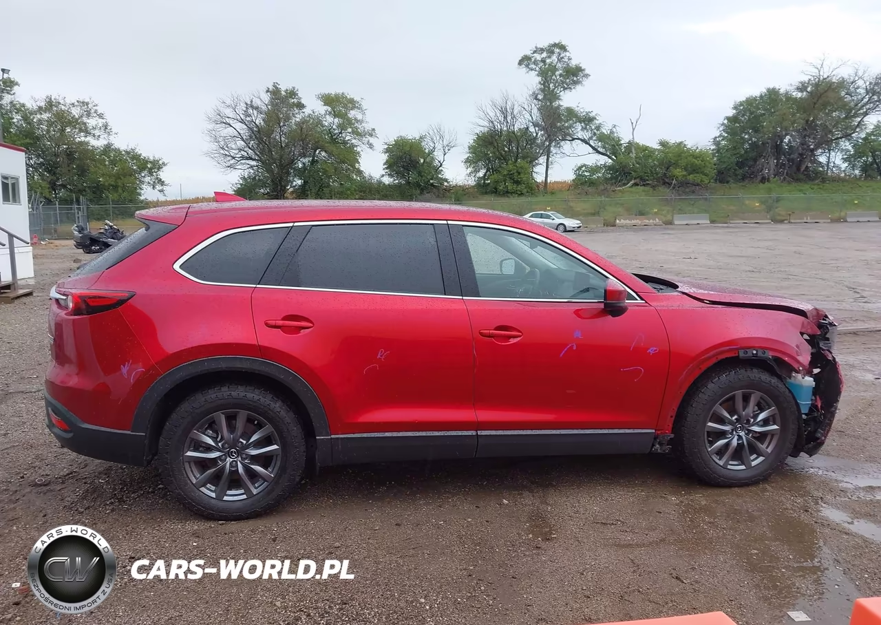 2020 Mazda Cx-9 Touring VIN:JM3TCBCY8L0403009 - 13