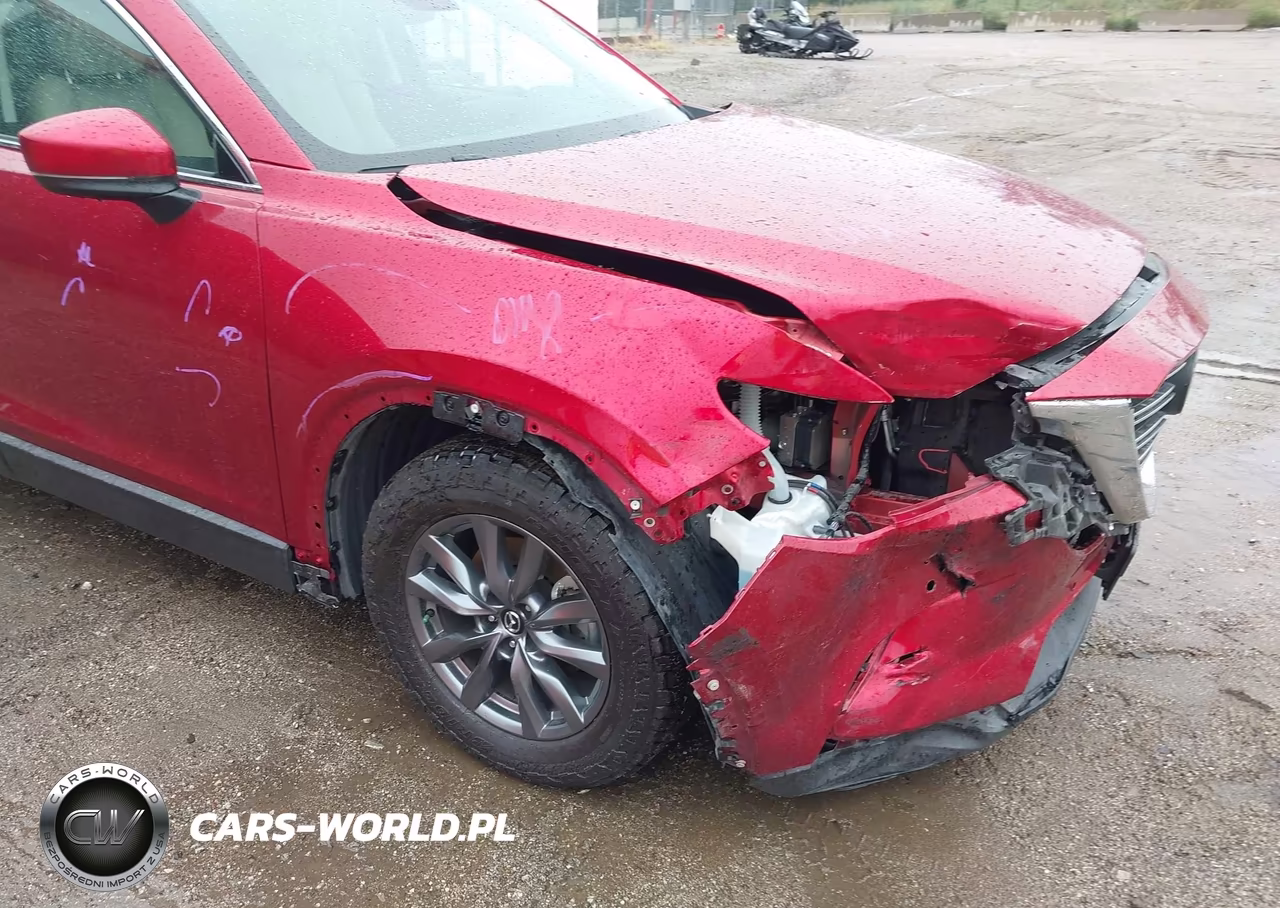 2020 Mazda Cx-9 Touring VIN:JM3TCBCY8L0403009 - 17