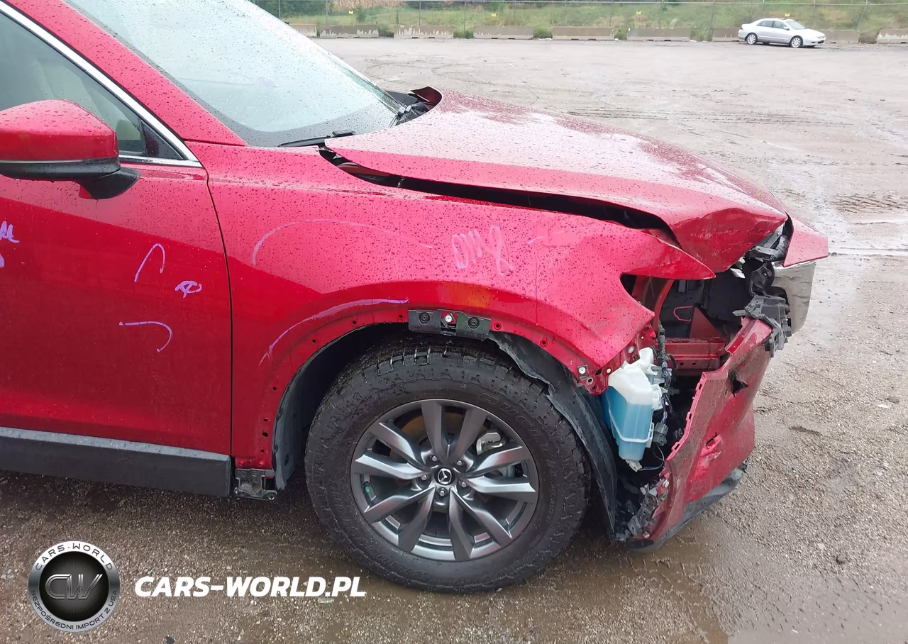 2020 Mazda Cx-9 Touring VIN:JM3TCBCY8L0403009 - 18