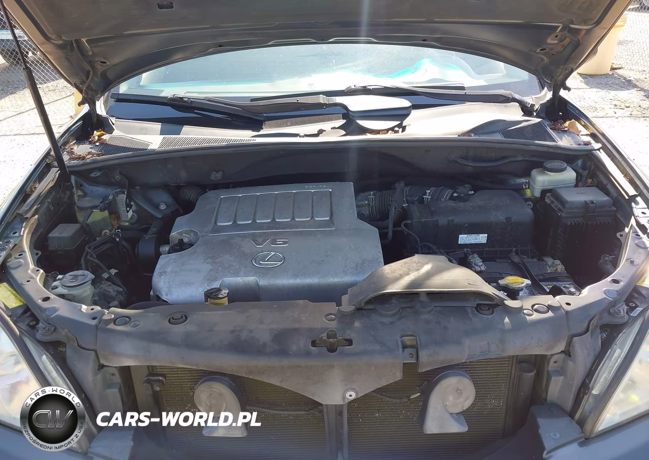 2007 Lexus Rx 350 VIN:2T2HK31UX7C031140 - 10