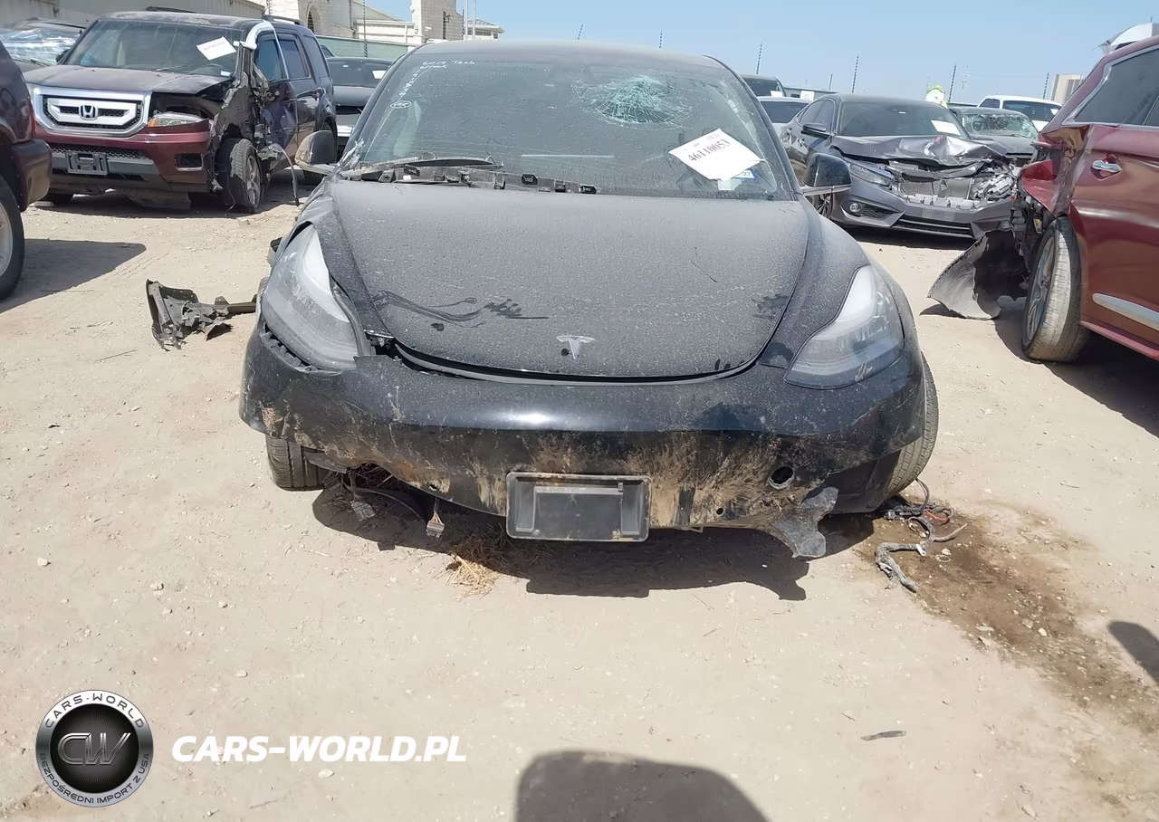 2019 Tesla Model 3 Long Range-Mid Range-Standard Range-Standard Range Plus VIN:5YJ3E1EA0KF297829 - 11