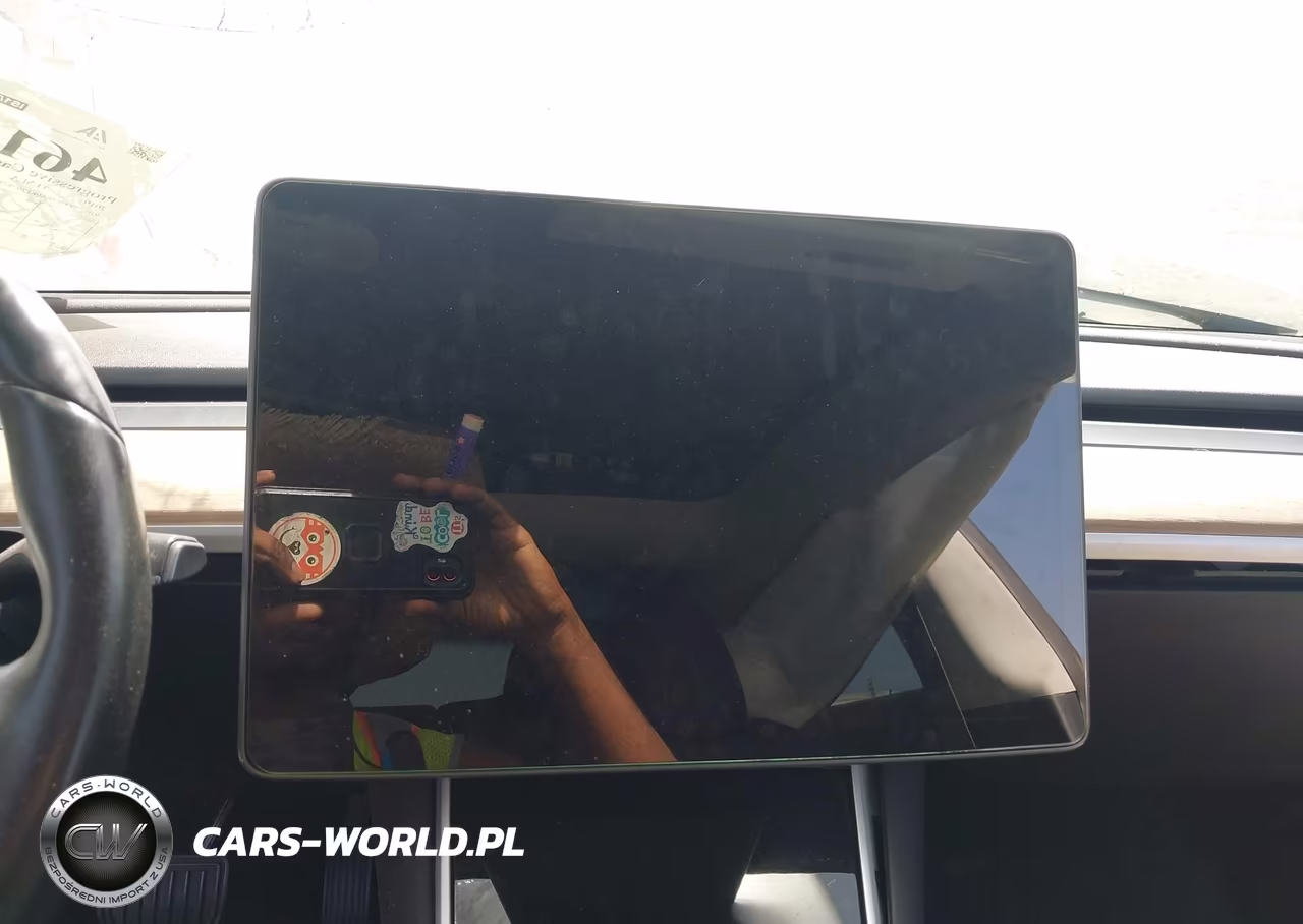 2019 Tesla Model 3 Long Range-Mid Range-Standard Range-Standard Range Plus VIN:5YJ3E1EA0KF297829 - 7