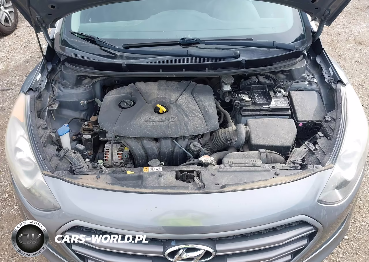 2016 Hyundai Elantra Gt VIN:KMHD35LH6GU323183 - 10